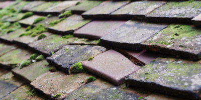 Mapledurham roof repair costs